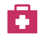 Healthcare Icon
