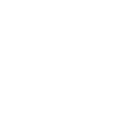 Market Research Icon